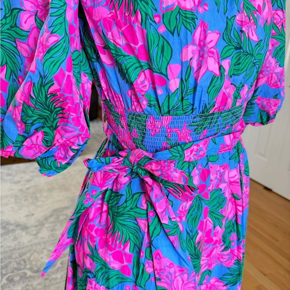 Lilly Pulitzer NWT Floral Dress - Picture 5 of 7